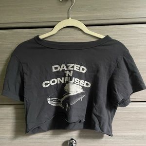 Brandy Melville Crop Top